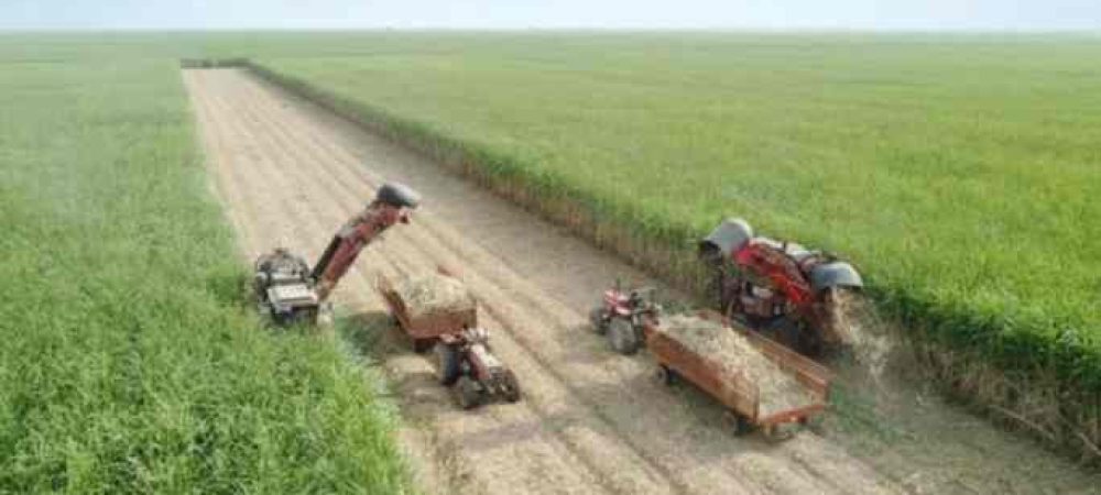 Screenshot_۲۰۲۵۱۱۱۰-۱۶۲۴۳۹_Firefox