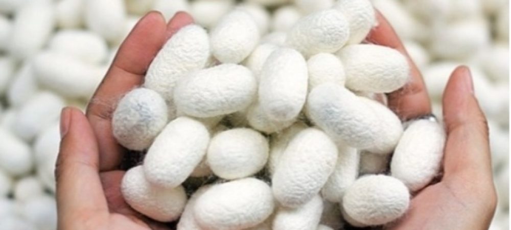 Screenshot_۲۰۲۵۱۱۱۱-۲۰۲۸۱۳_Gallery